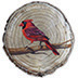 Oil Painting:Red Cardinal